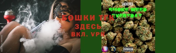 гидра Кодинск