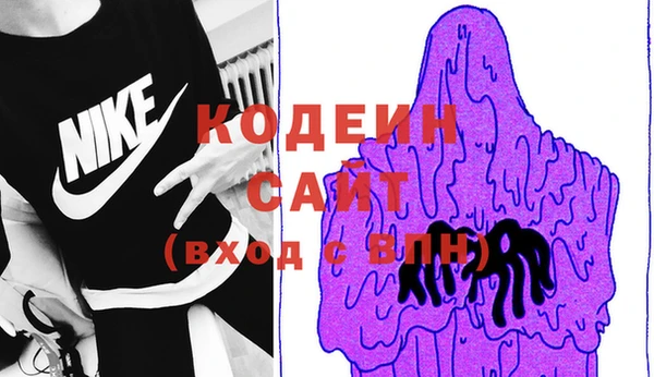 гашик Козловка