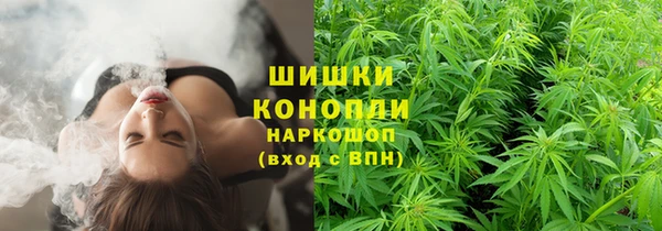spice Коряжма