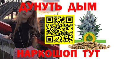 индика Кимры