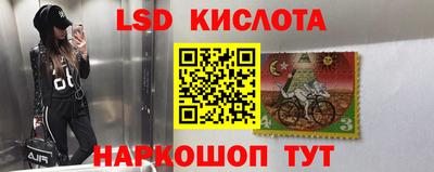 индика Кимры