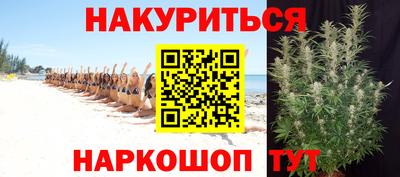 дживик Кингисепп