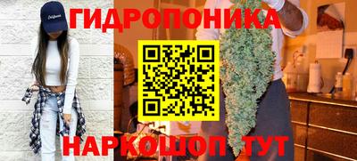 индика Кимры
