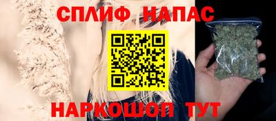 дживик Кингисепп