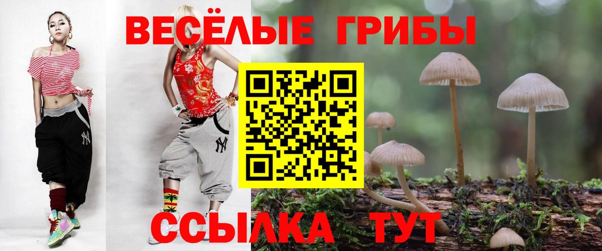 наркошоп  Вход с VPN  Миасс  Псилоцибиновые грибы Psilocybe 
